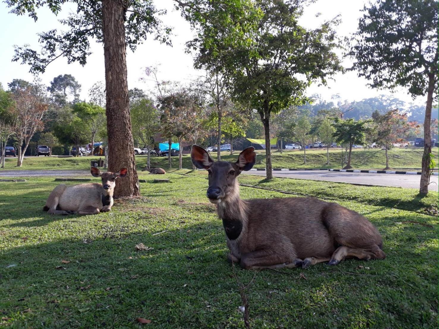 Annie Villa At Khao Yai Mu Si Luaran gambar